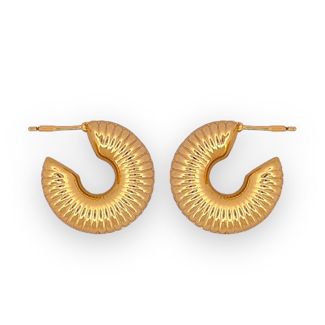Chunky Earrings Hoops