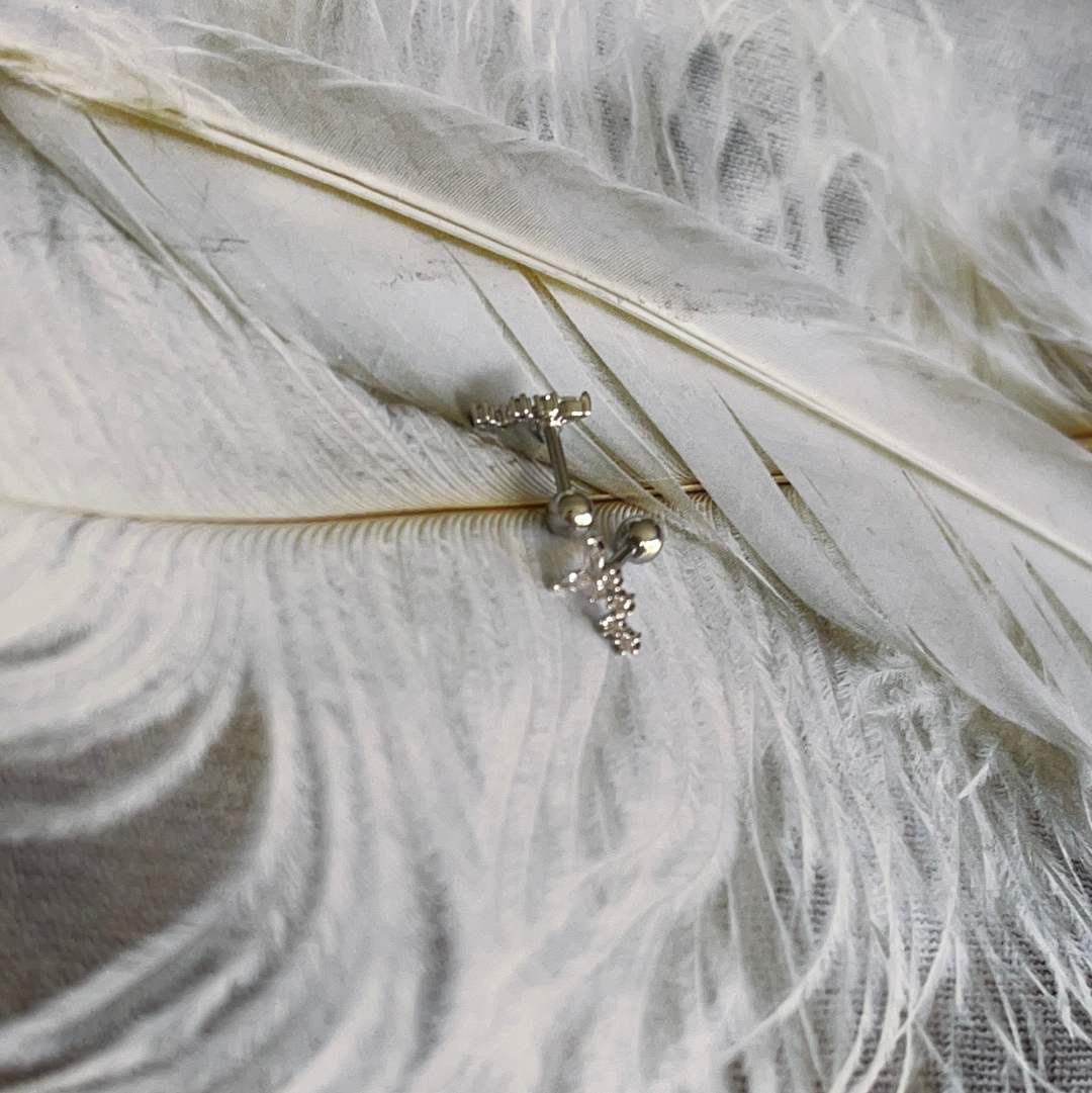 Butterfly Layer Earrings Piercing