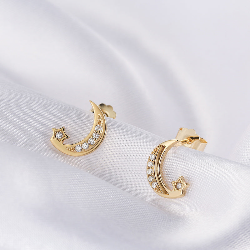 Moon and Star Earring