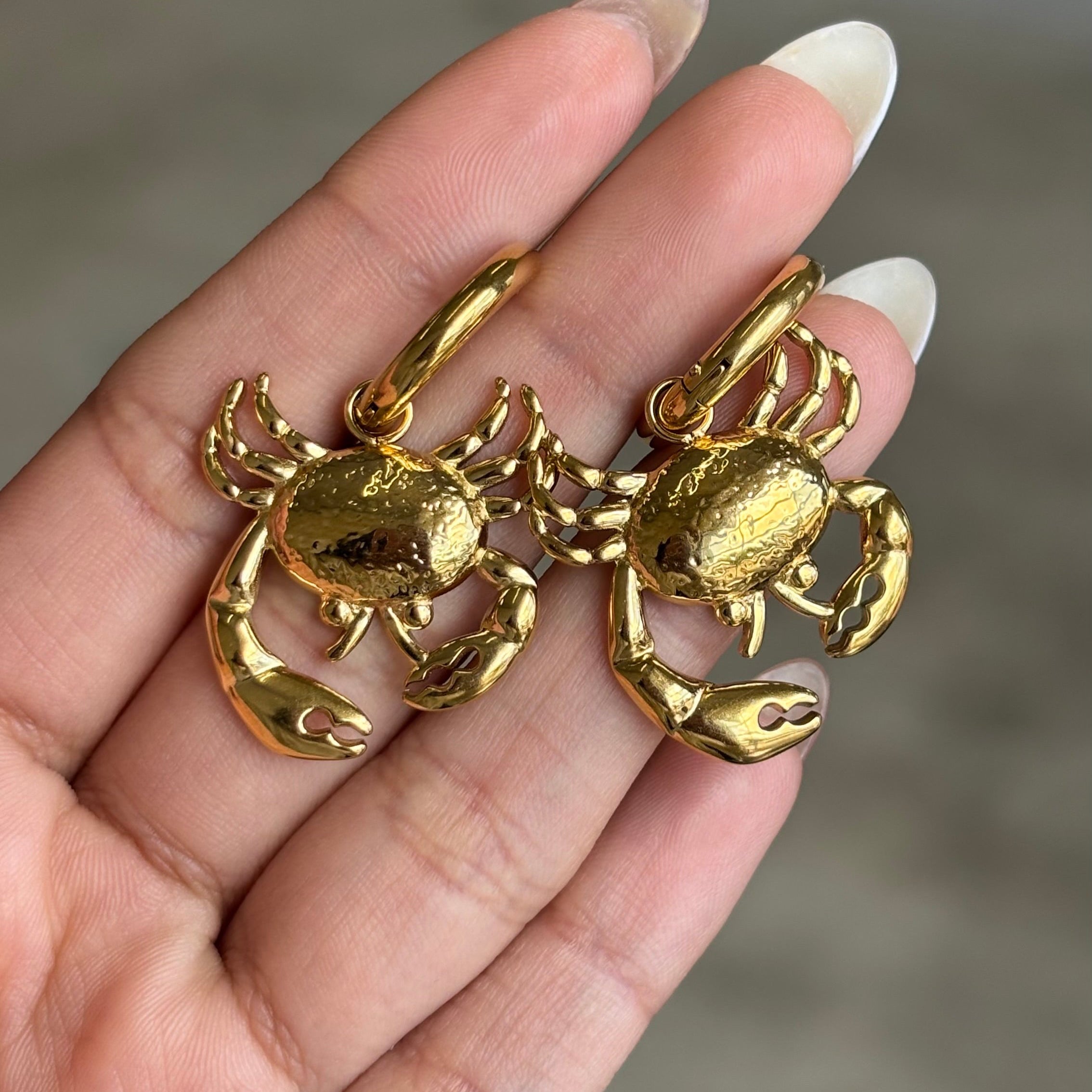 Under The Sea Hoops