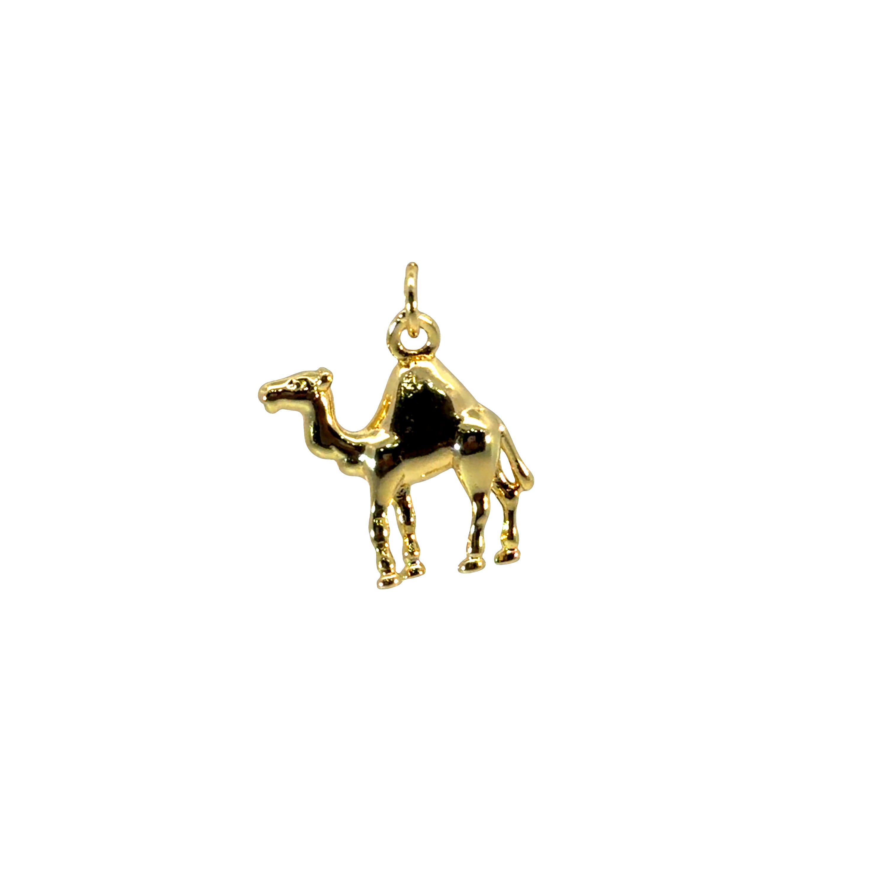 Camel Charm