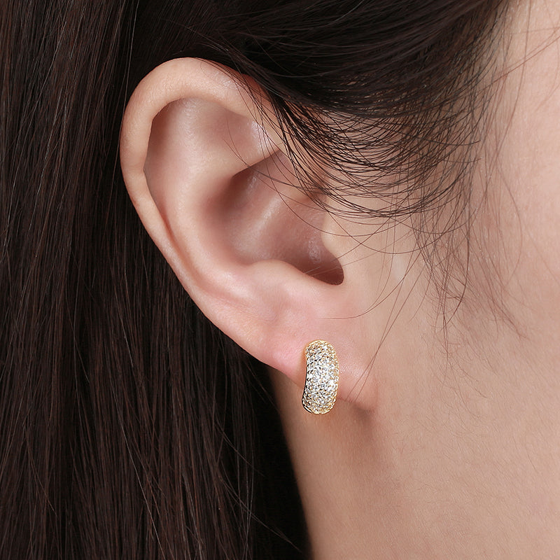 Zirconium Half Pave Earring