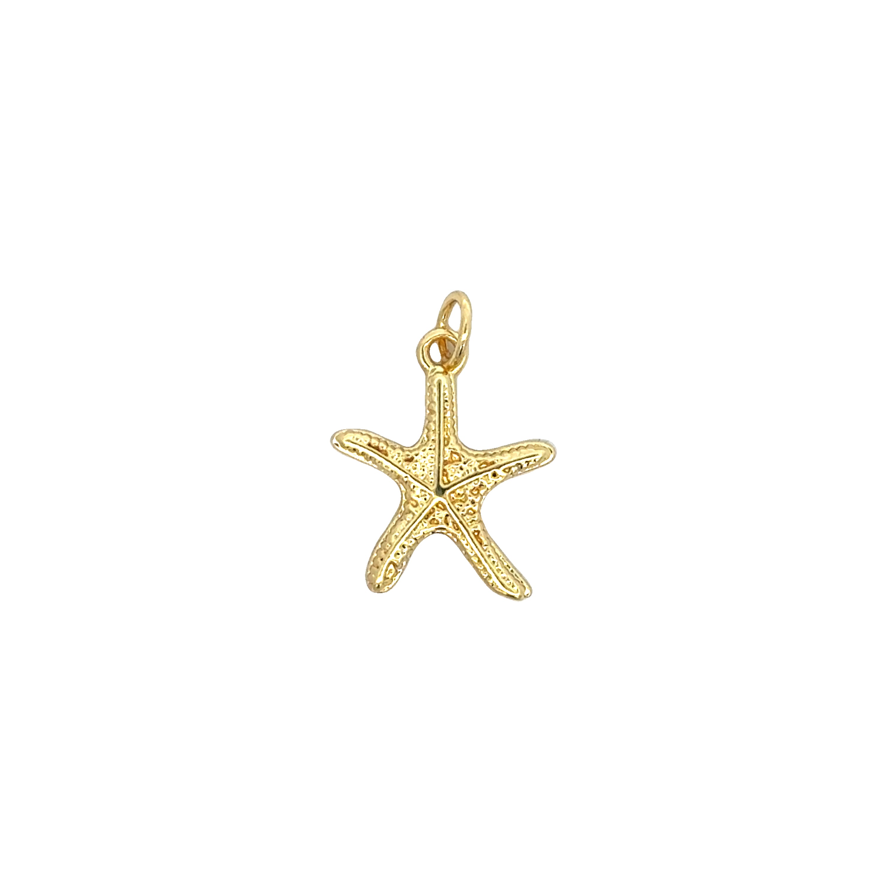 Sea Edition Charms