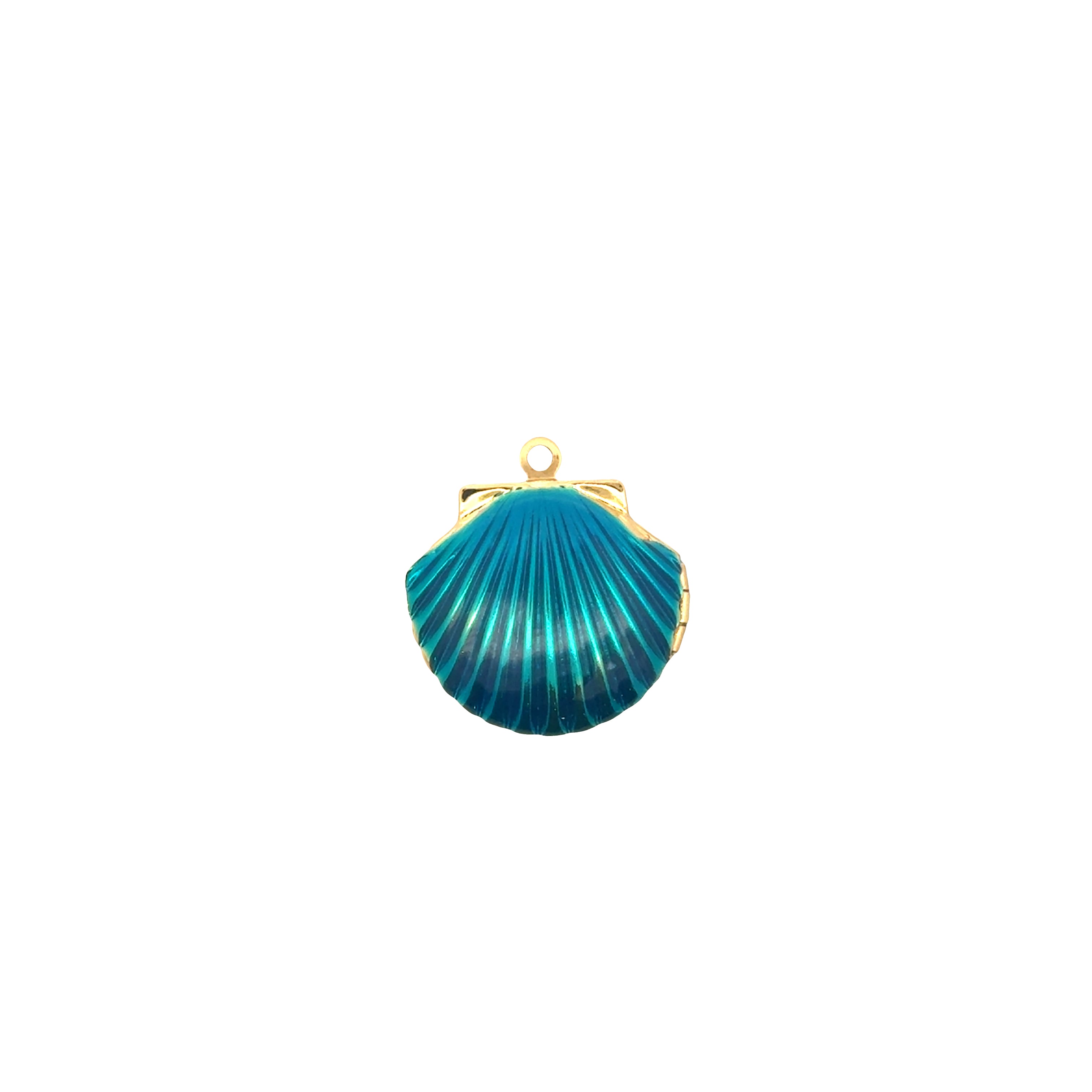 Clam Charms Collection