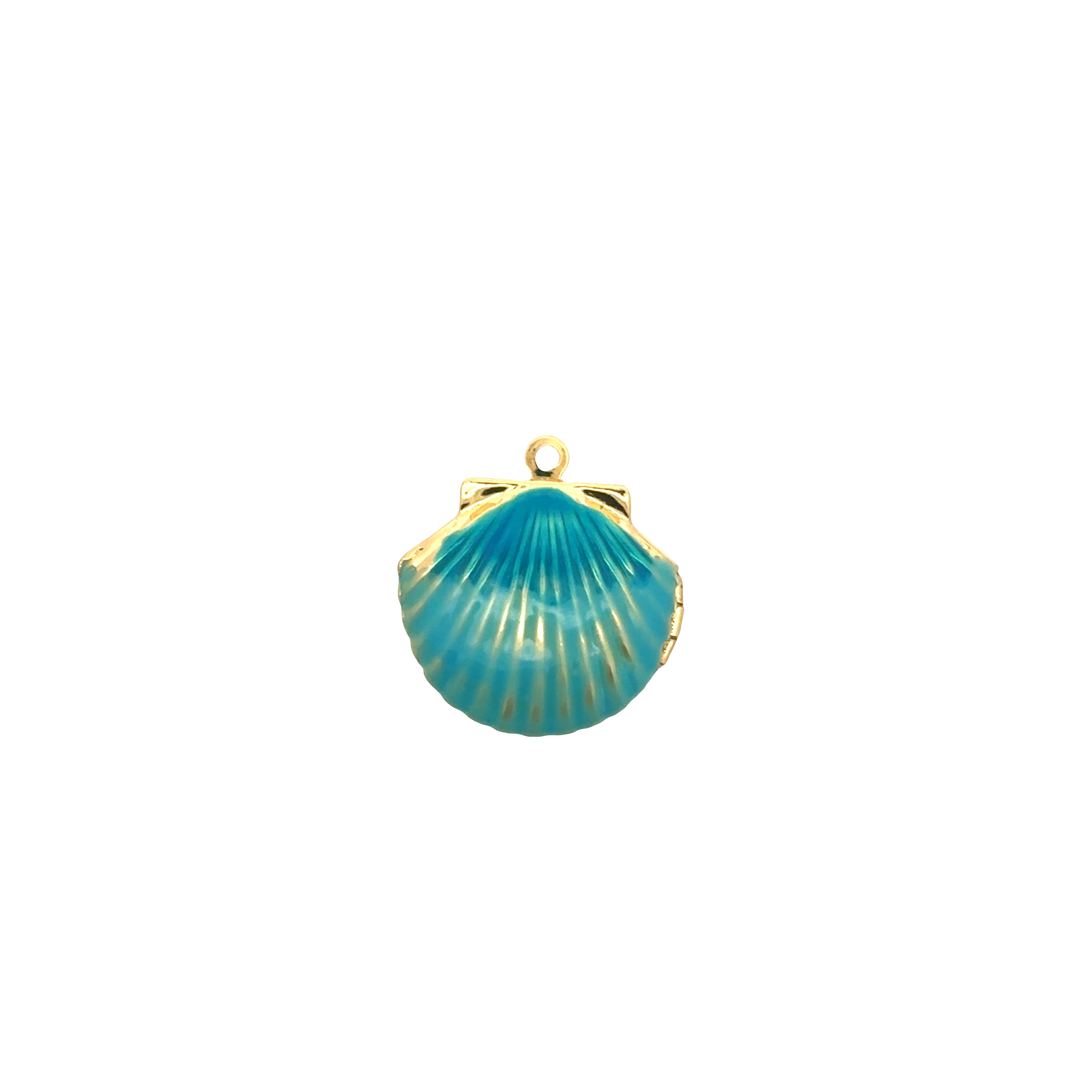 Clam Charms Collection