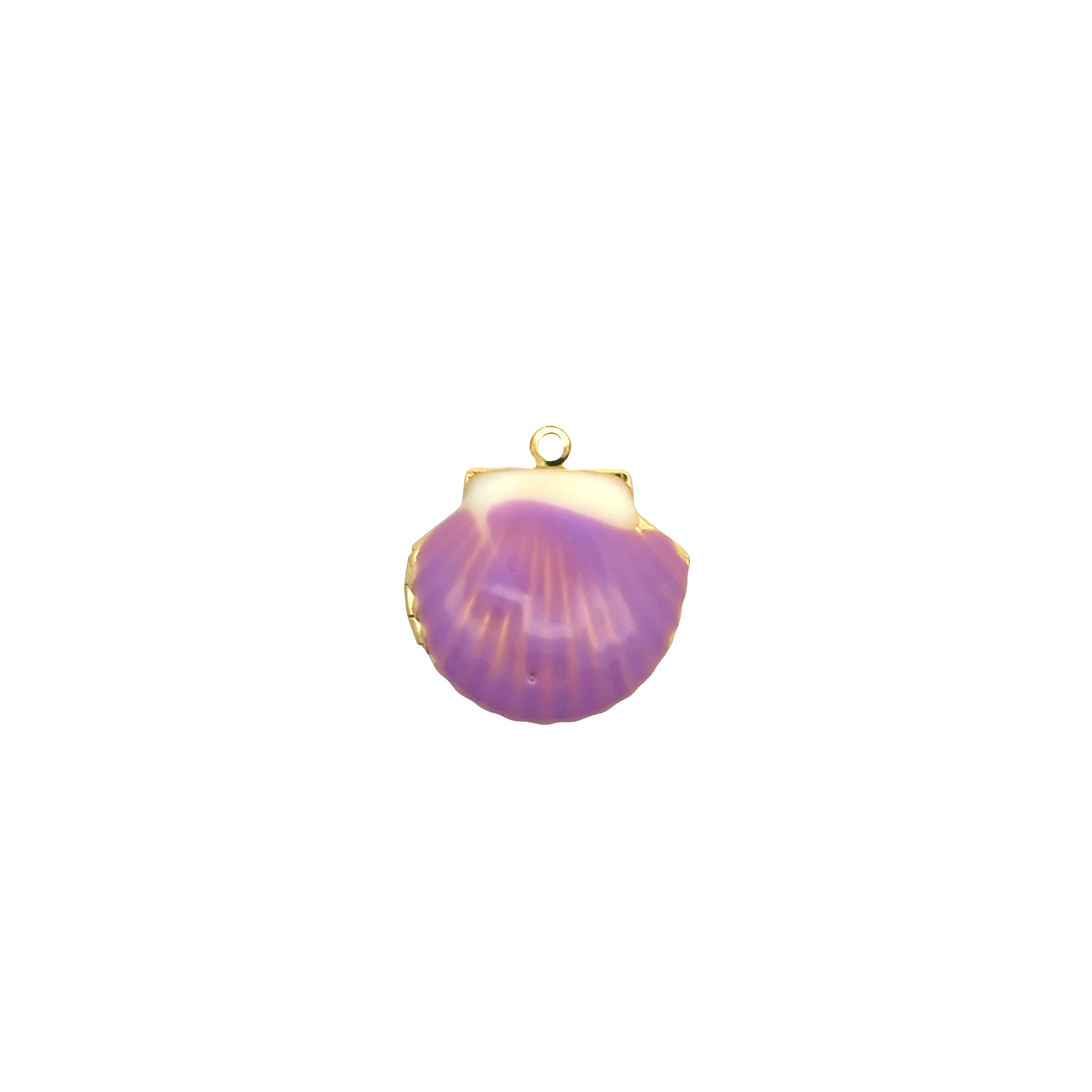 Clam Charms Collection
