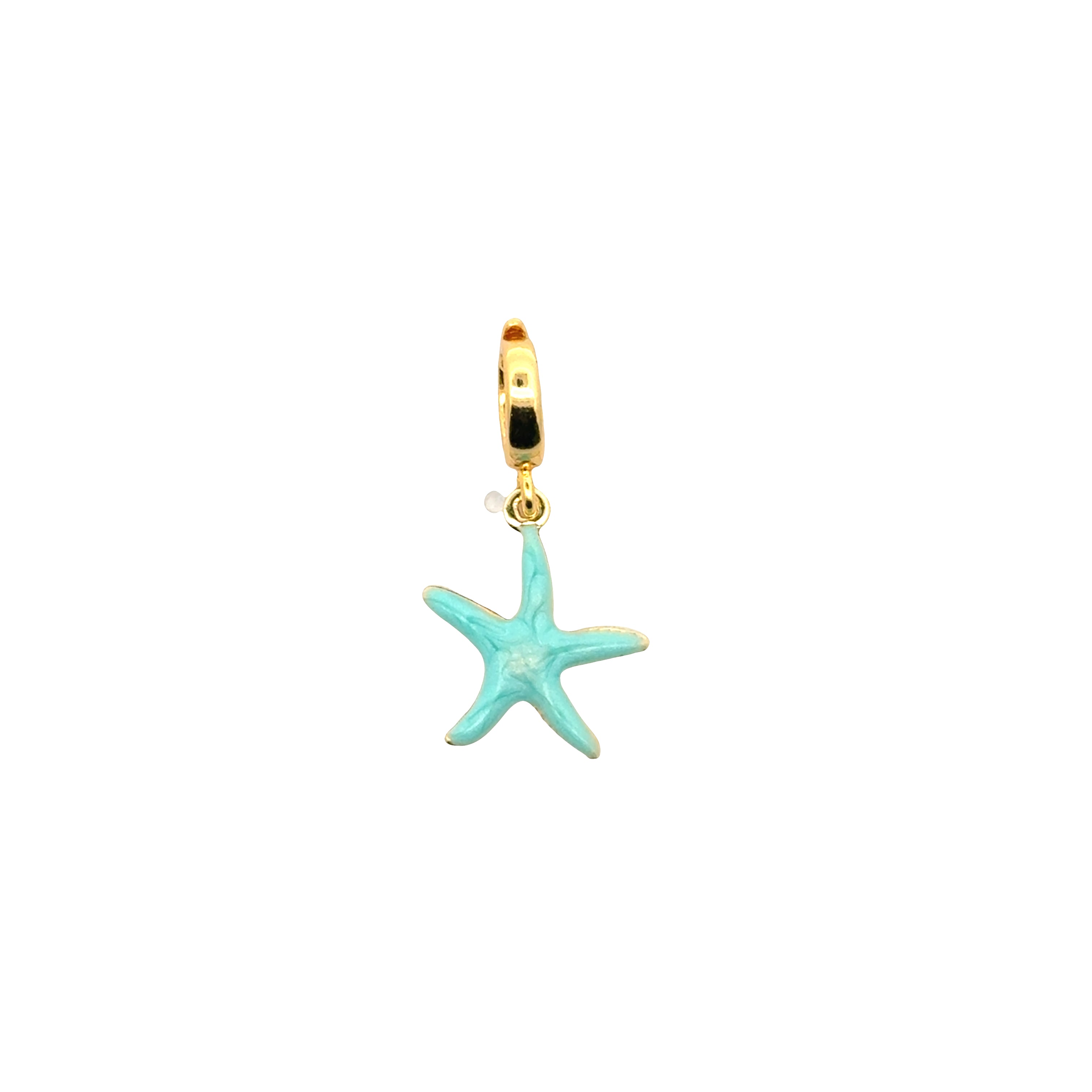 Starfish Color Edition