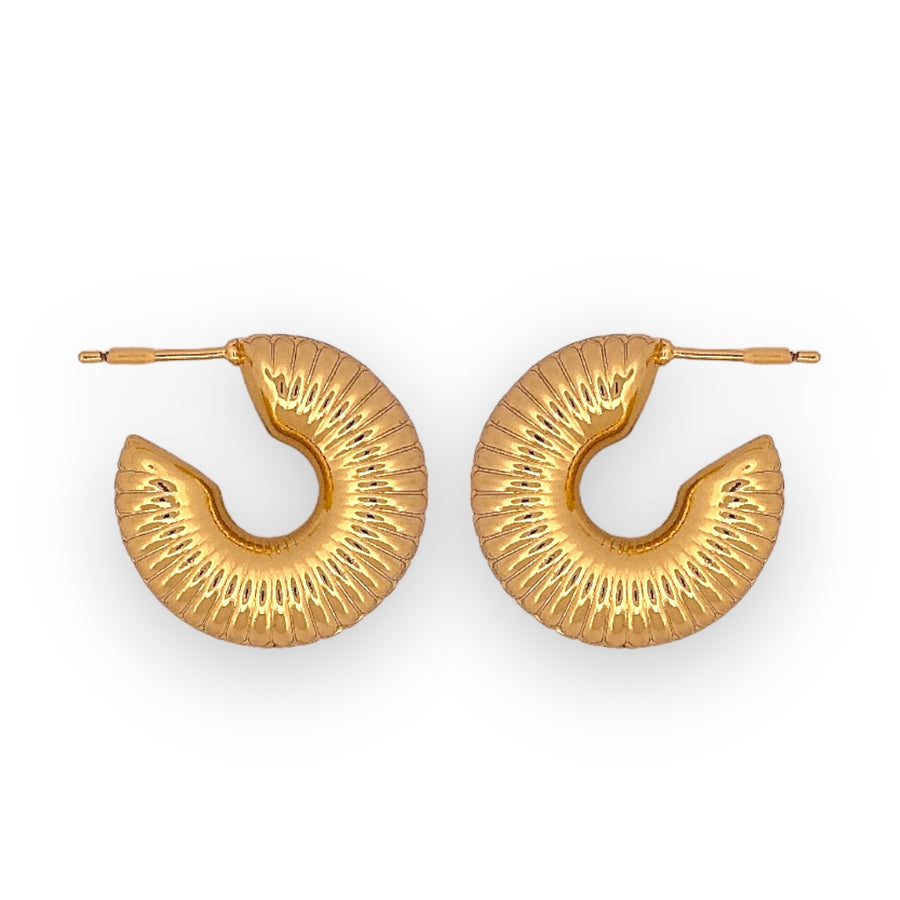 Chunky Earrings Hoops