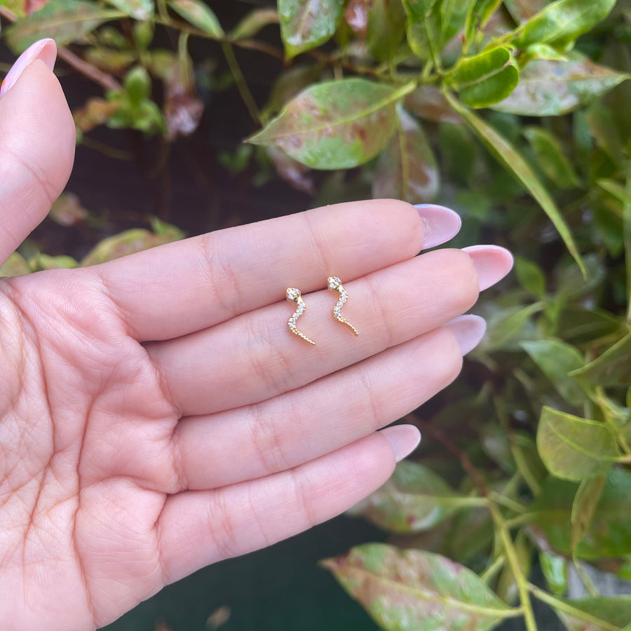 Snake Earrings Piercing