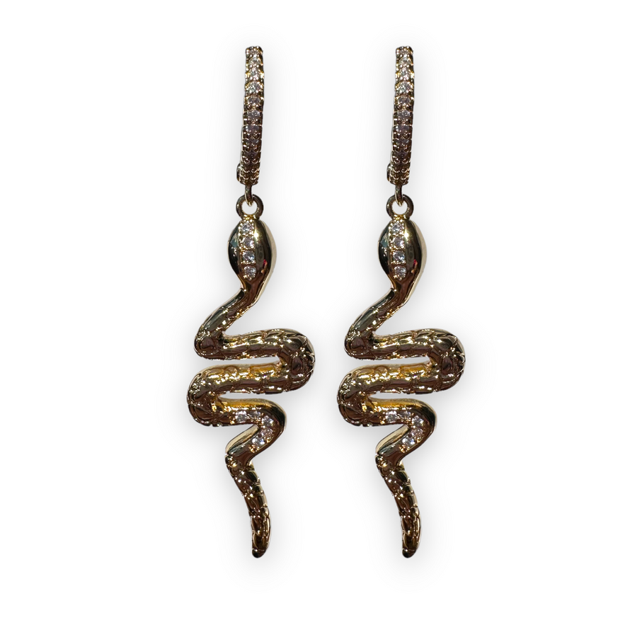 Texture Snake Hoops