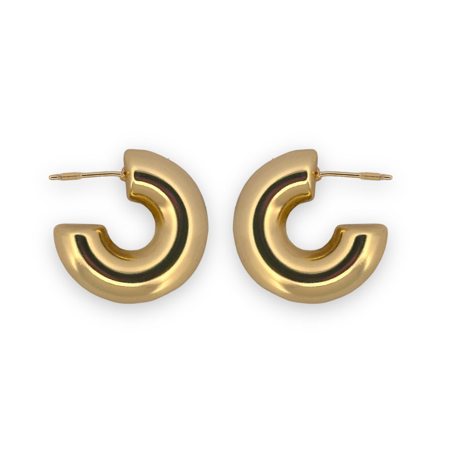 Chunky Earrings Hoops