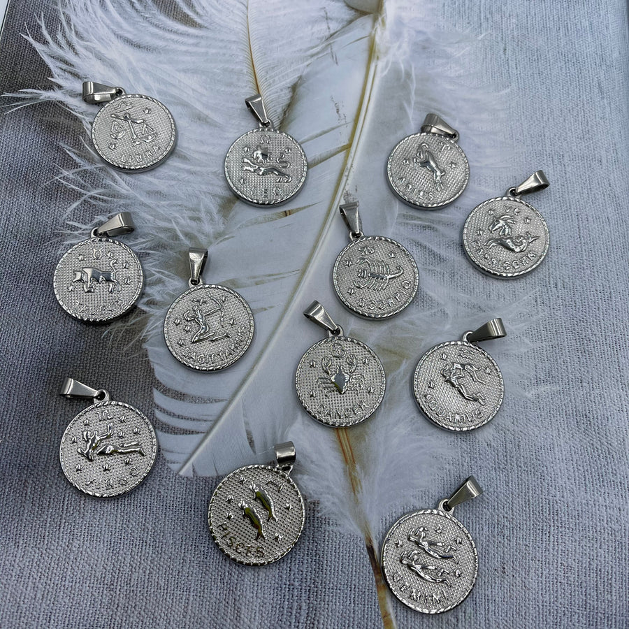 Zodiac Signs Charms